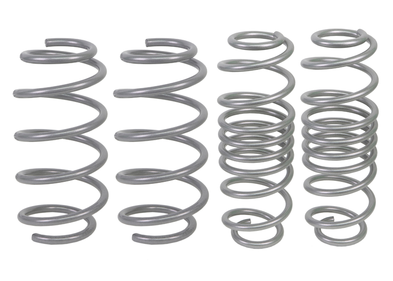 Performance Lowering Kit Ford Fiesta WZ 2013-2018