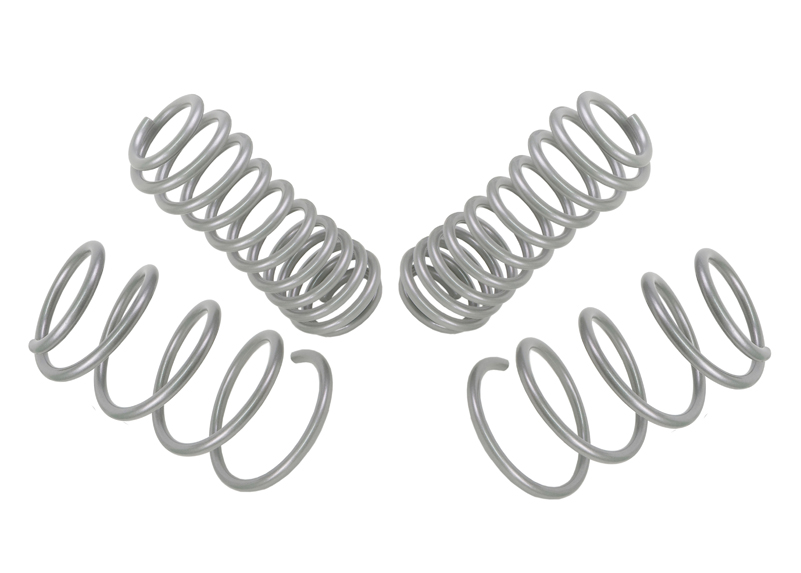 Performance Lowering Kit Ford Mustang S197 2004-2014