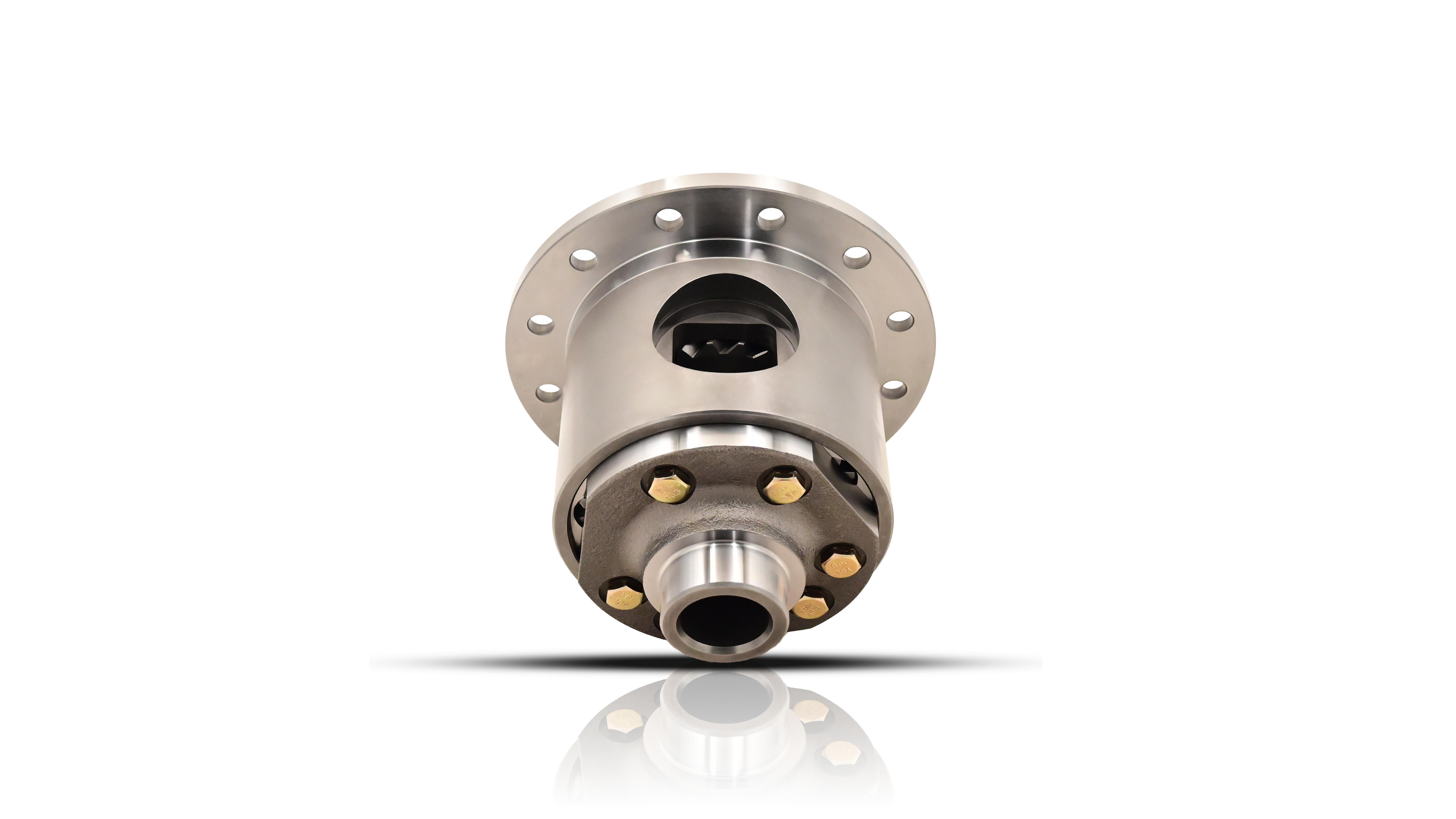 Gear Style Limited Slip Differential for GM 9.5/9.75", 33 Spline, 3.42 & 3.73 (Detroit TrueTrac Replica)