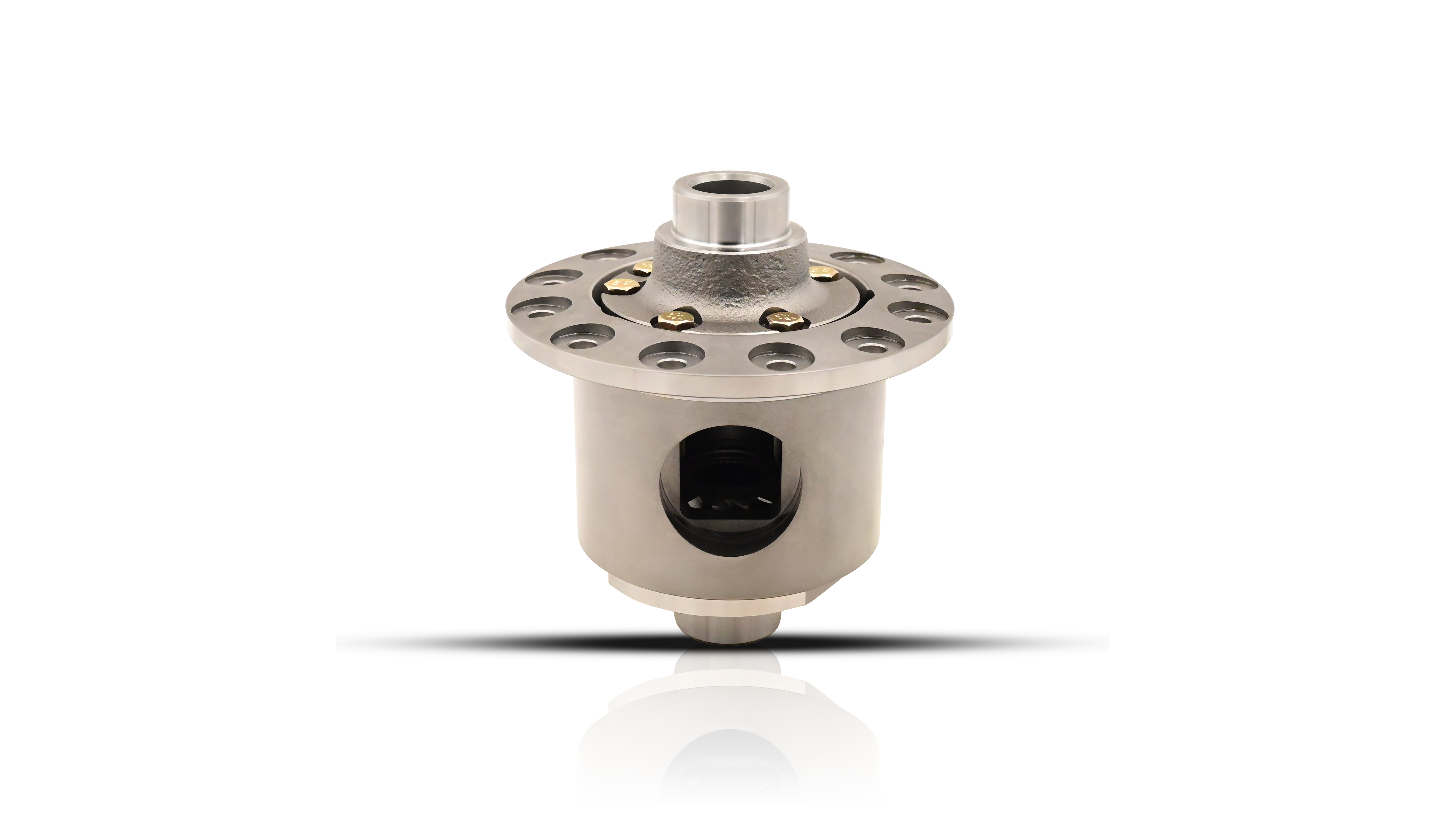Gear Style Limited Slip Differential for GM 9.5/9.75", 33 Spline, 3.42 & 3.73 (Detroit TrueTrac Replica)